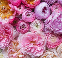 Load image into Gallery viewer, Hello Summer!  (Weekly) Large Arrangements