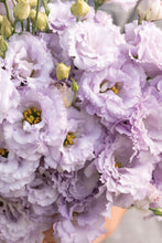 Load image into Gallery viewer, Hello Spring!  (Weekly)