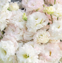 Load image into Gallery viewer, Hello Summer!  (Weekly) Large Arrangements