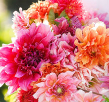 Load image into Gallery viewer, Hello Spring!  (Weekly)