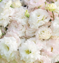 Load image into Gallery viewer, Hello Spring!  (Weekly)