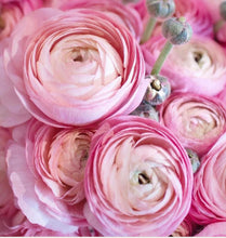 Load image into Gallery viewer, Hello Summer!  (Weekly) Large Arrangements