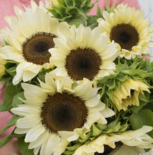 Load image into Gallery viewer, Keep Me Blooming PICKUP (Spring, Summer, Fall)