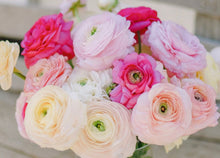 Load image into Gallery viewer, Hello Summer!  (Weekly) Large Arrangements