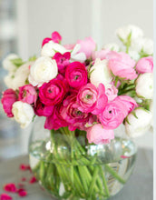 Load image into Gallery viewer, Hello Spring! PICKUP (Weekly) Large Arrangements