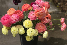 Load image into Gallery viewer, Keep Me Blooming DELIVERED (Annual)