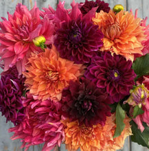 Load image into Gallery viewer, Flower Bouquet PICKUP (12 stem)
