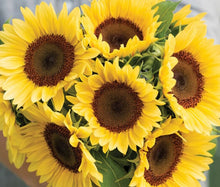 Load image into Gallery viewer, Flower Bouquet PICKUP (12 stem)
